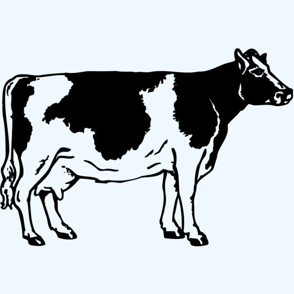 COW024 Thumbnail