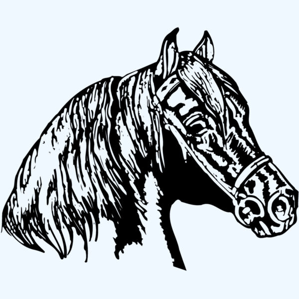 HORSE002 Thumbnail