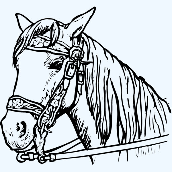 HORSE005 Thumbnail