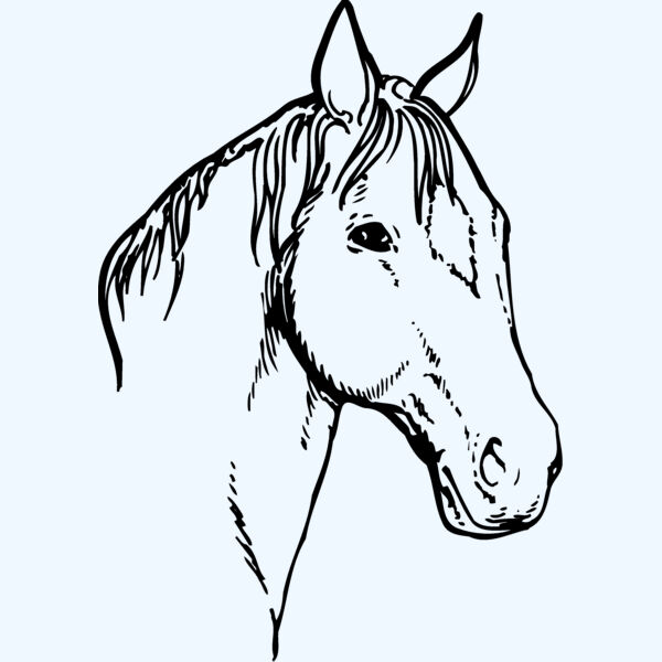 HORSE008 Thumbnail