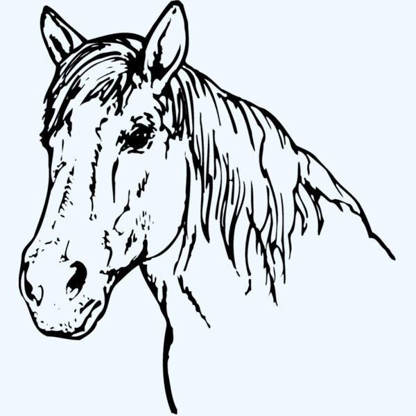 HORSE009 Thumbnail