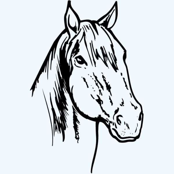 HORSE011 Thumbnail