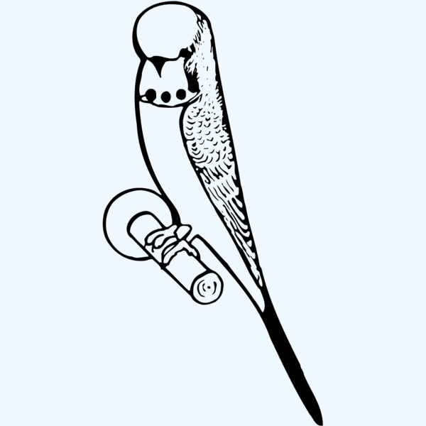 BIRD016 Thumbnail