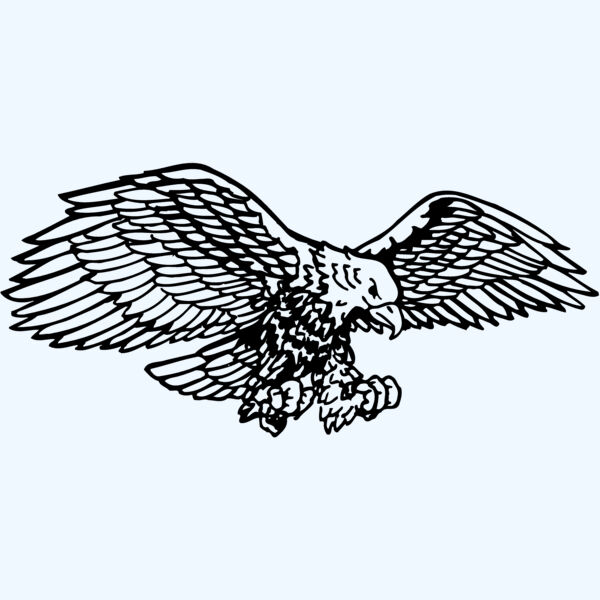 EAGLE003 Thumbnail