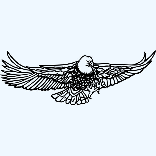 EAGLE009 Thumbnail