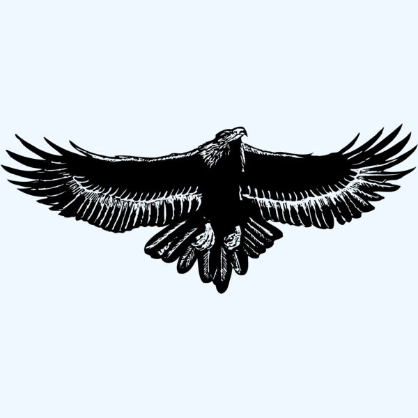 EAGLE010 Thumbnail