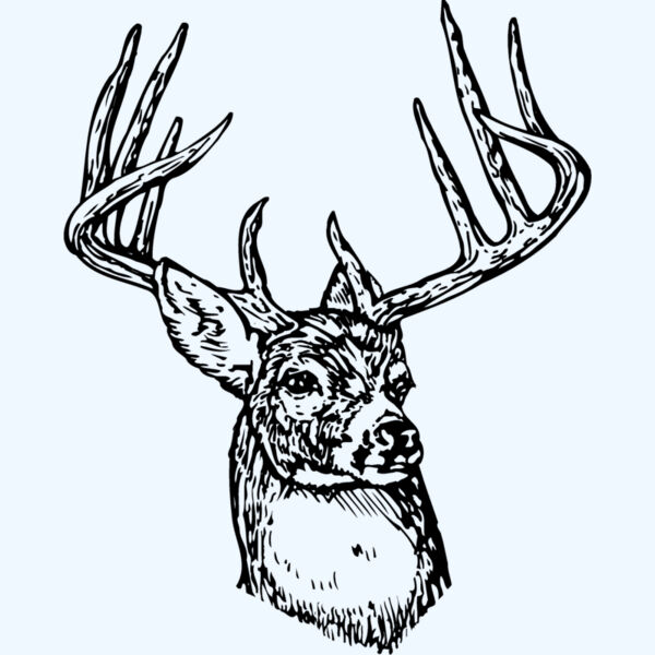 DEER006 Thumbnail