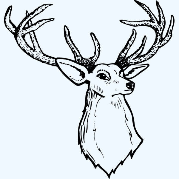 DEER008 Thumbnail