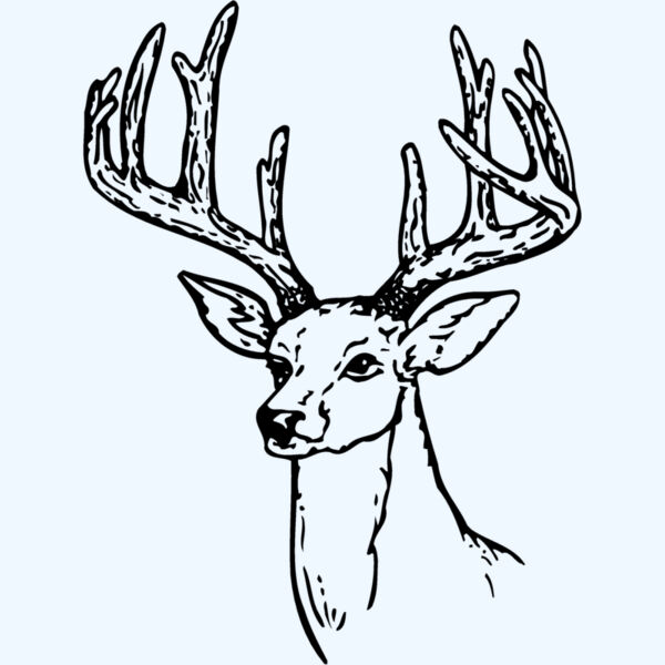 DEER009 Thumbnail