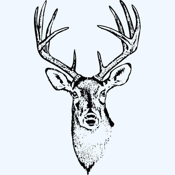 DEER010 Thumbnail