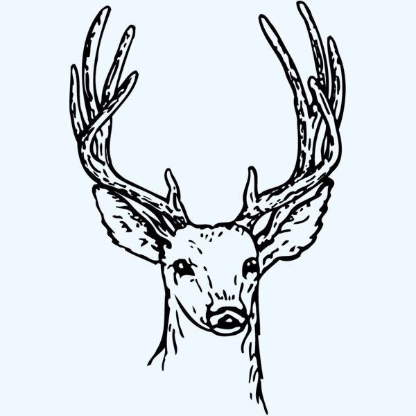 DEER011 Thumbnail
