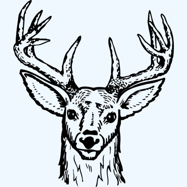 DEER012 Thumbnail