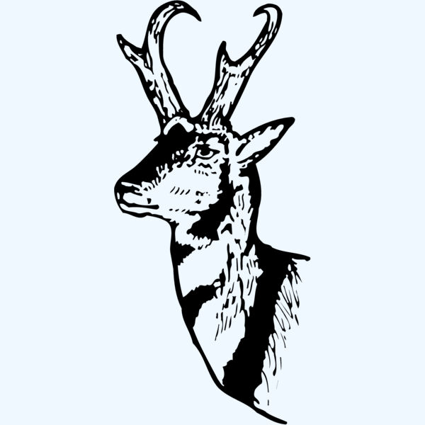 DEER013 Thumbnail