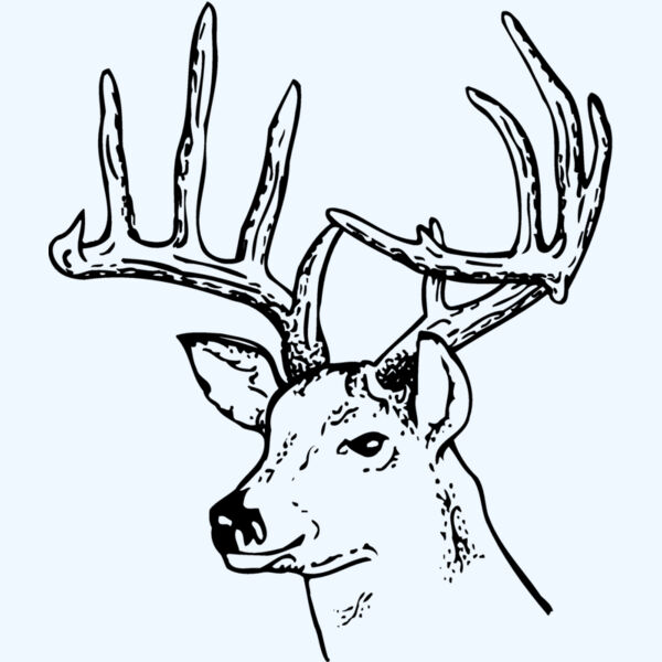 DEER014 Thumbnail