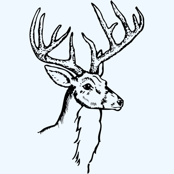 DEER017 Thumbnail