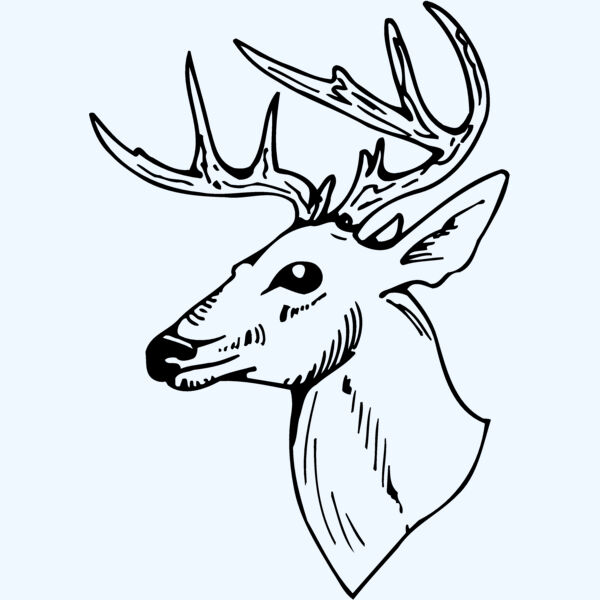 DEER018 Thumbnail