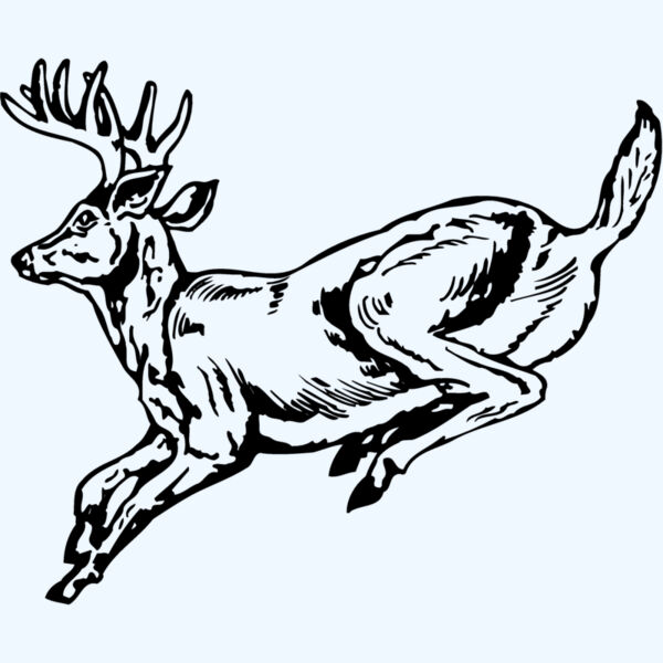 DEER027 Thumbnail