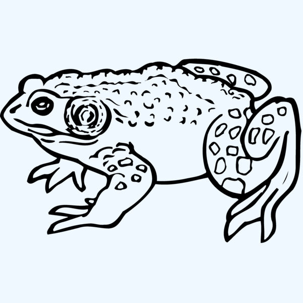 FROG02 Thumbnail