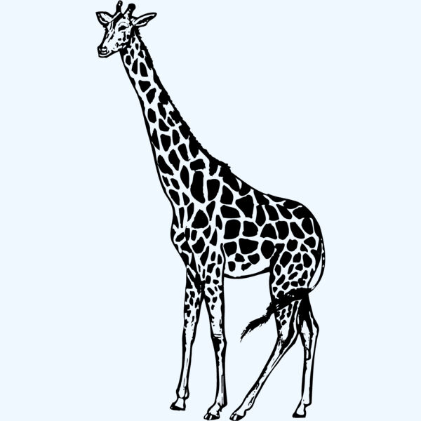GIRAFF01 Thumbnail
