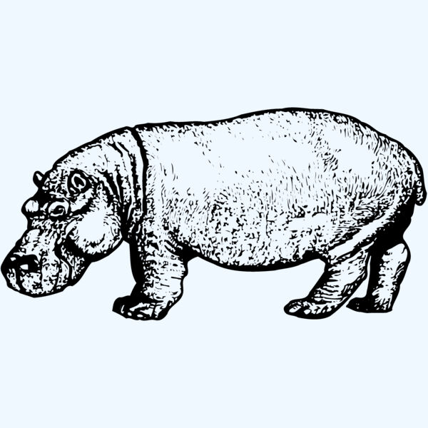 HIPPO002 Thumbnail