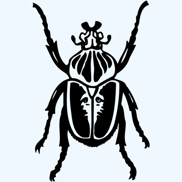 BEETLE04 Thumbnail