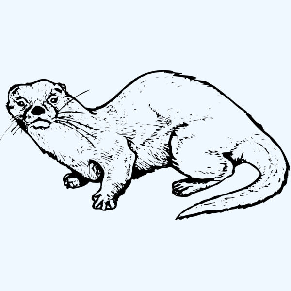 OTTER002 Thumbnail