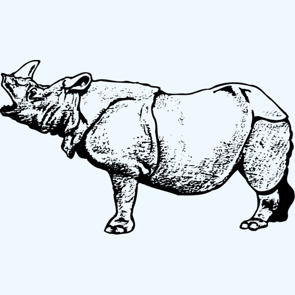 RHINO003 Thumbnail