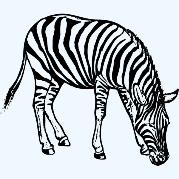 ZEBRA001 Thumbnail