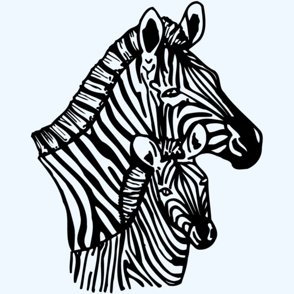 ZEBRA002 Thumbnail
