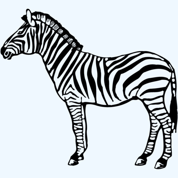 ZEBRA004 Thumbnail