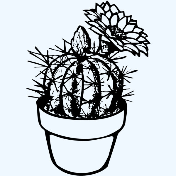 CACTUS01 Thumbnail