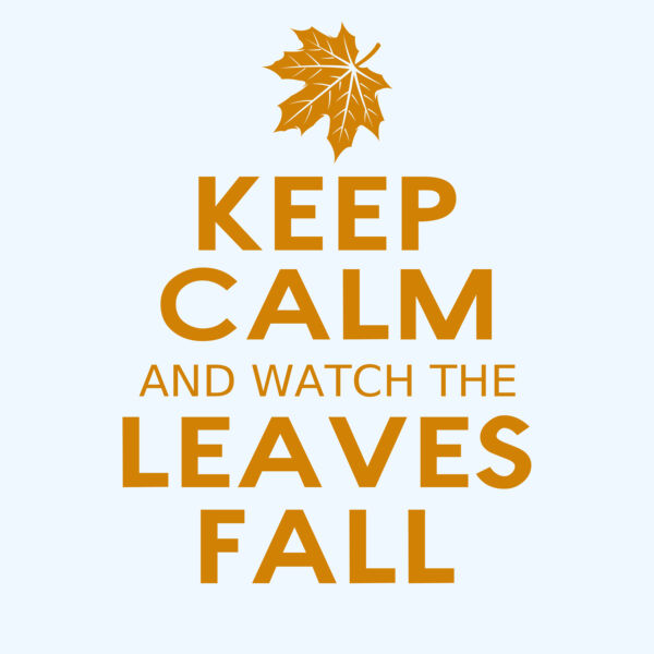 Fall Season 04 Thumbnail