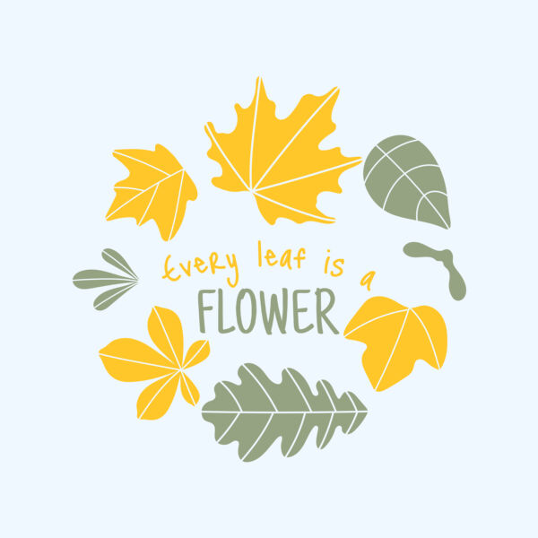 Fall Season 13 Thumbnail