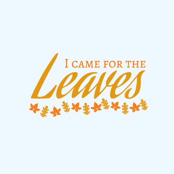 Fall Season 28 Thumbnail